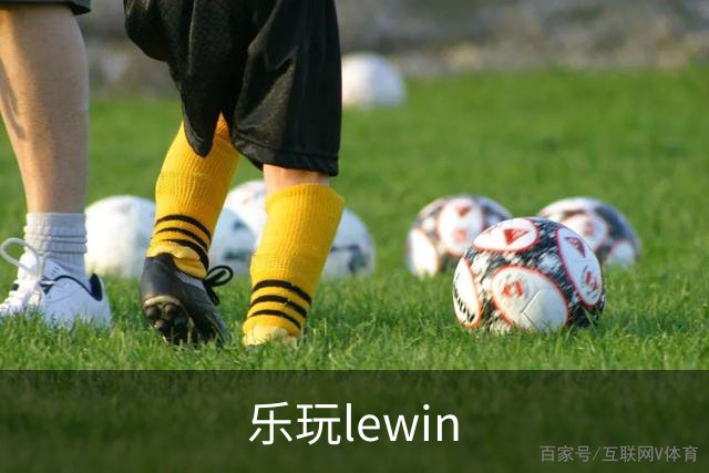 乐玩lewin公司环境